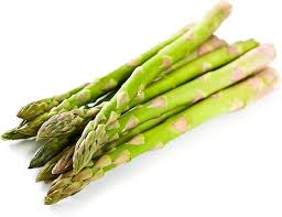 Attēlu rezultāti vaicājumam “Asparagus officinalis”