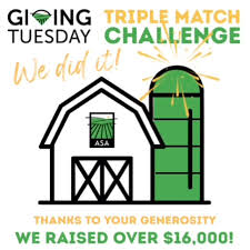 Image result for Wood Green A F S Association