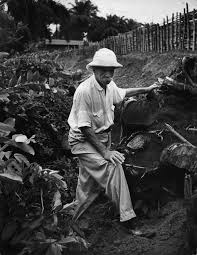 Image result for albert schweitzer