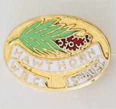 Image result for Hawthorn Bowling Club