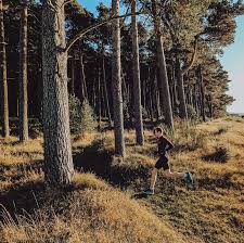 Image result for Guildford Orienteers