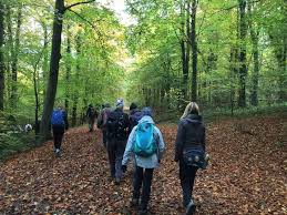 Image result for Ramblers Association - Mole Valley Group