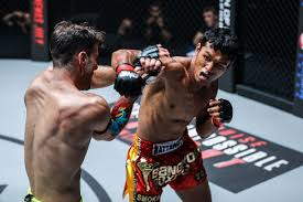Image result for JTT Muay Thai