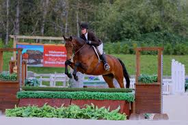 Image result for Abinger Forest Riding Club