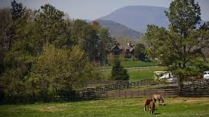 Image result for Roebuck Bowling Club