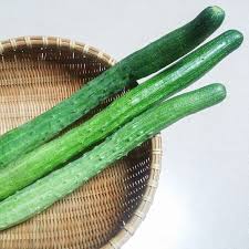 Image result for Gurke