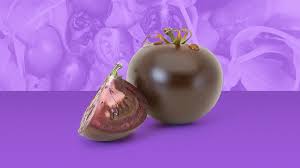 Afbeeldingsresultaat voor prudence purple tomato