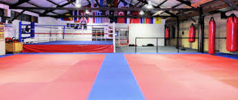 Image result for St Albans Ultimate