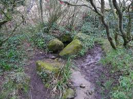 Image result for St Buryan Cc