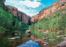 Billedresultat for kakadu n...