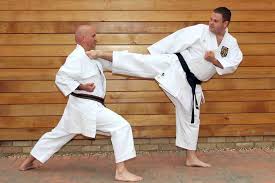 Image result for ZOKU SHOTOKAN KARATE (Baldock)