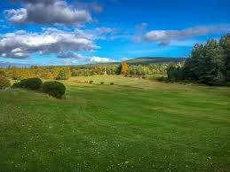 Image result for Abernethy Golf Club