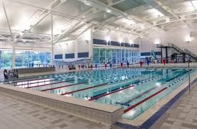 Image result for Harrogate Swimming Club