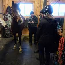 Image result for Carman Stables