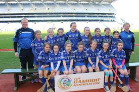 Image result for St Rita`s Camogie Club