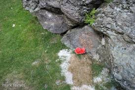 Image result for Cromlech Club