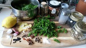 Attēlu rezultāti vaicājumam “Honckenya peploides fruit”