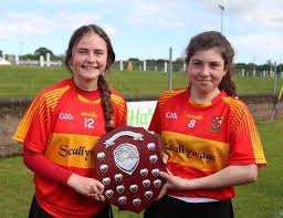 Image result for Moycarkey-Borris Gaa Club
