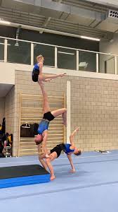 Image result for Elements Acro