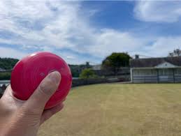 Image result for Metropolitan Police (Chigwell) Bowls Club