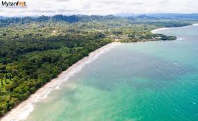 Image result for cahuita costa rica