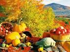 Fall Harvest Wallpaper and Backgrounds (800 x 600) - DeskPicture.
