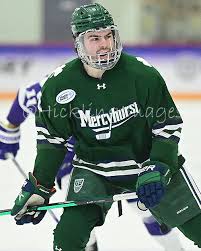 Image result for Norton Cyclones Skater Hockey Club