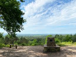 Image result for Surrey Heath Slammers