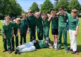 Image result for Grayshott Cricket Club