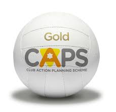 Image result for Brigg & District Netball Club