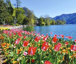 Image result for "Parco Ciani"