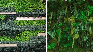 Image result for living wall