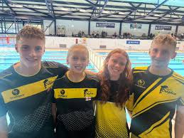 Image result for Swindon Dolphins