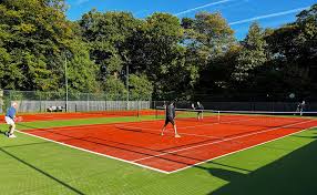 Image result for Denby Dale Tennis Club