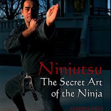 Image result for Central London Ninjutsu