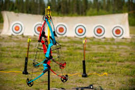 Image result for Burntwood Archers