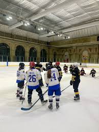 Image result for Haringey Junior Ice Hockey Club