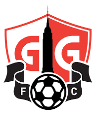 Image result for Gotham Soccer League
