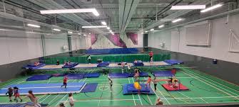 Image result for Ace of Clubs Trampolining