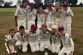 Image result for Hadleigh Cricket Club