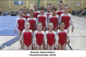Image result for Horsham Gymnastics Club