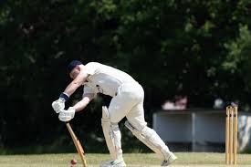 Image result for Old Wilsonians Cricket Club