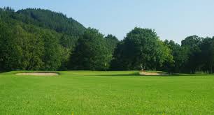 Image result for Betws-Y-Coed Golf Club