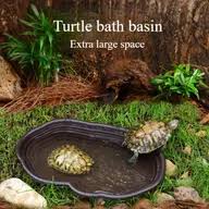 Image result for Bath Amphibians