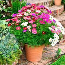 Image result for Schmuckkörbchen