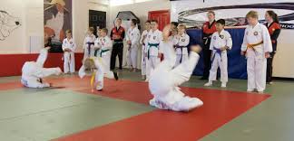 Image result for Masters of Martial Arts