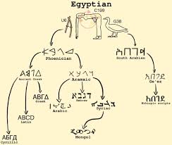 Image result for Evolution Stammbaum