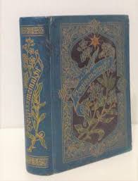 Image result for Vergissmeinnicht