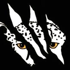 Image result for Cheetahs Softball Team