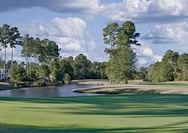 Image result for Dolphina Gc